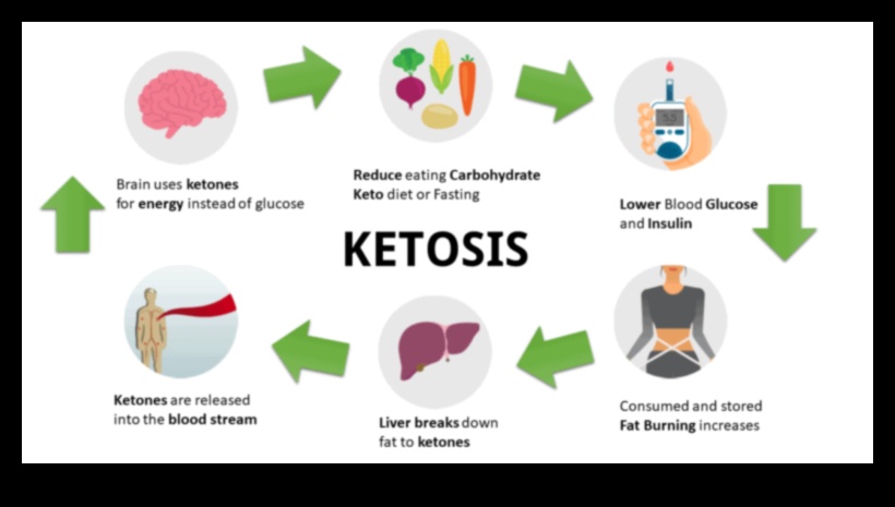 Keto ve Bilişsel Dayanıklılık: Zihin-Beden Bağlantısını Beslemek