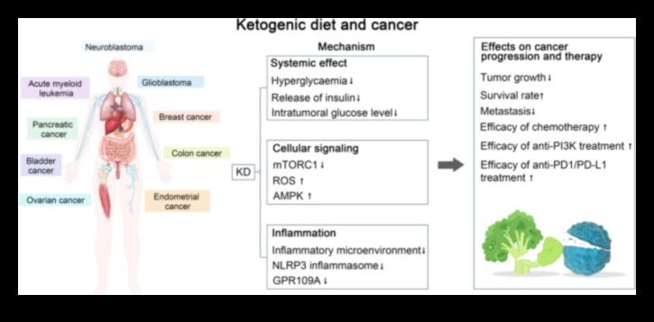 Keto ve Kronik Hastalık Önleme: Kapsamlı Bir Rehber