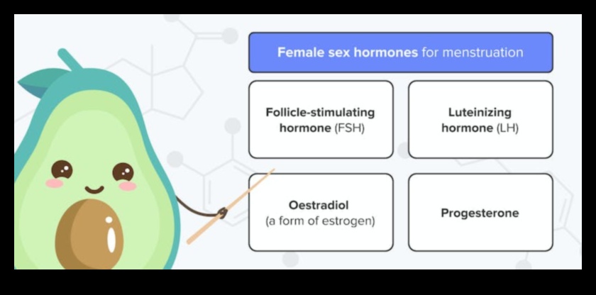 Keto ve Menstrual Health bağlantı nedir